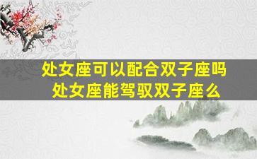 处女座可以配合双子座吗 处女座能驾驭双子座么